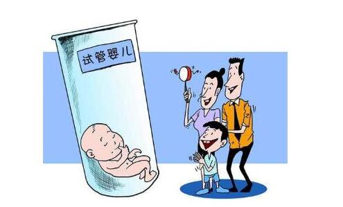 正规同性代孕咨询包生儿子